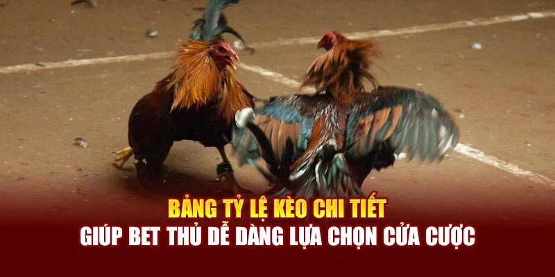 Bảng tỷ lệ kèo chi tiết giúp bet thủ dễ dàng lựa chọn cửa cược