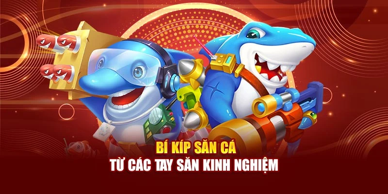 Bí kíp săn cá từ các tay săn kinh nghiệm