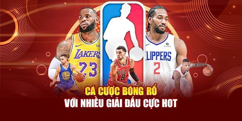 Cá cược bóng rổ với nhiều giải đấu cực hot