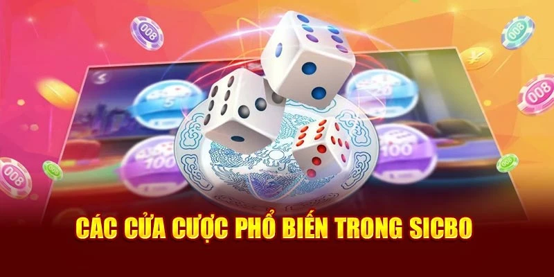 Các cửa cược phổ biến trong Sicbo