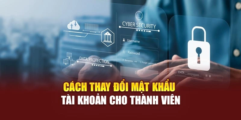 Cách thay đổi mật khẩu tài khoản cho thành viên