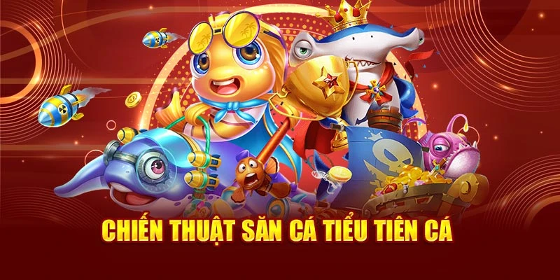 Chiến thuật săn cá tiểu tiên cá