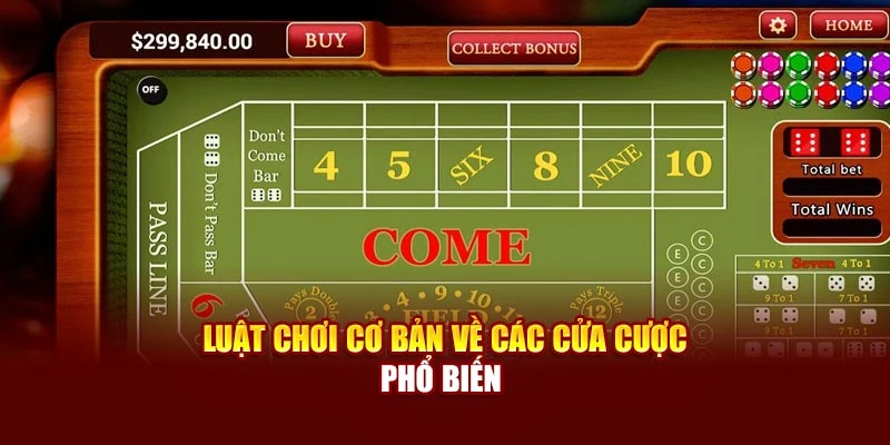 Luật chơi cơ bản về các cửa cược phổ biến