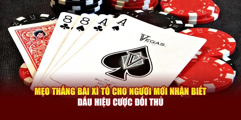 Mẹo thắng bài Xì Tố cho người mới nhận biết dấu hiệu cược đối thủ