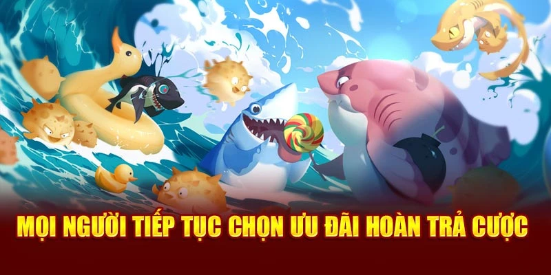 Mọi người tiếp tục chọn ưu đãi hoàn trả cược