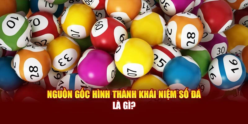 Nguồn gốc hình thành khái niệm số đá là gì?