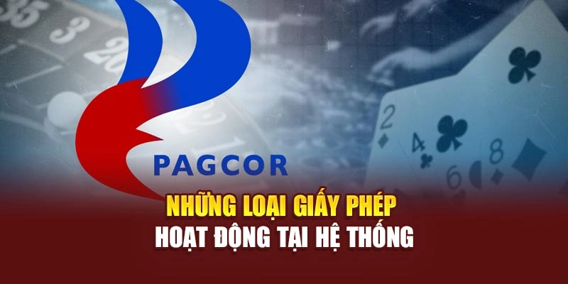 Những loại giấy phép hoạt động tại hệ thống