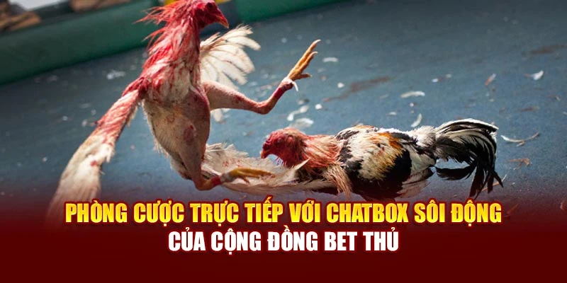 Phòng cược trực tiếp với chatbox sôi động của cộng đồng bet thủ