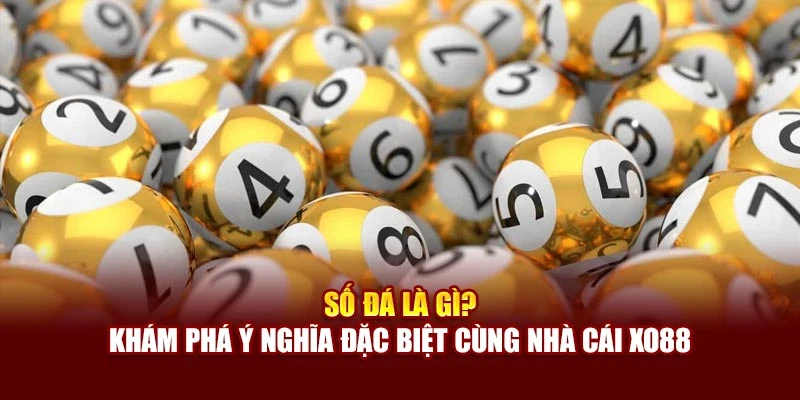 Số Đá Là Gì? Khám Phá Ý Nghĩa Đặc Biệt Cùng Nhà Cái Xo88