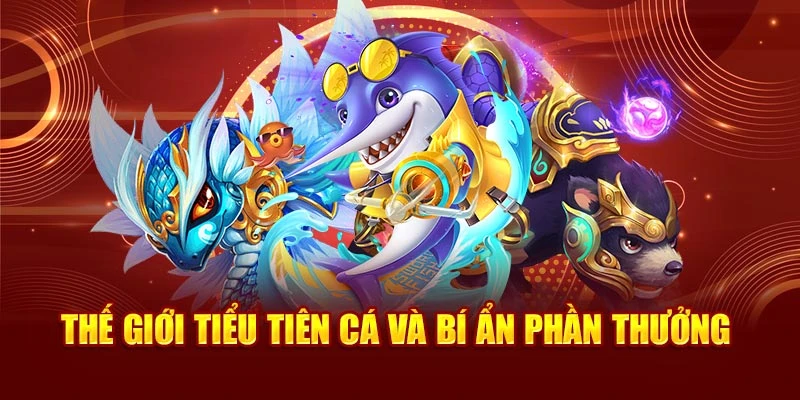 Thế giới tiểu tiên cá và bí ẩn phần thưởng