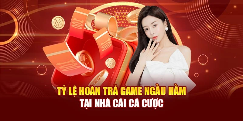 Tỷ lệ hoàn trả game ngầu hầm tại nhà cái cá cược